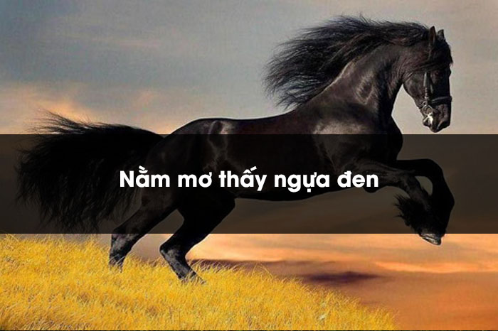 Nằm mơ thấy ngựa đen